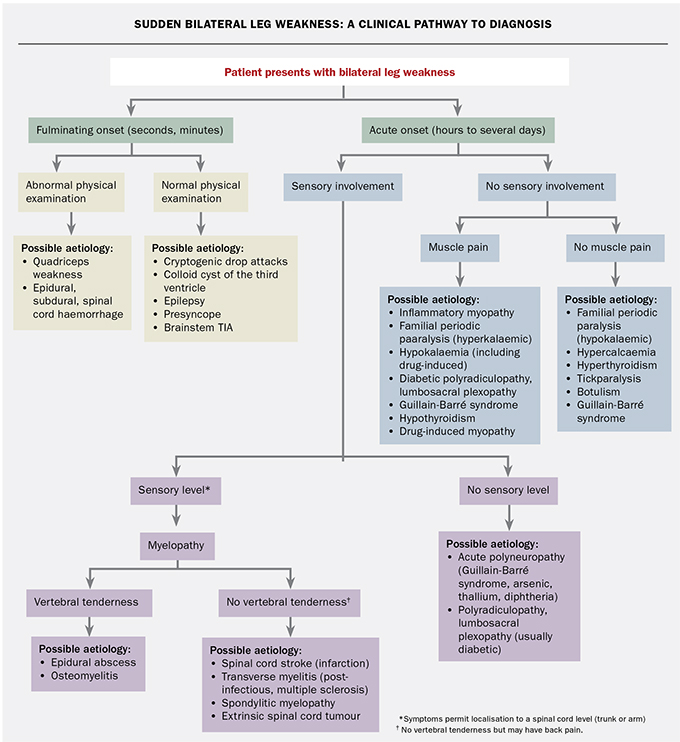 Finding The Cause Of Sudden Leg Weakness Medicine Today